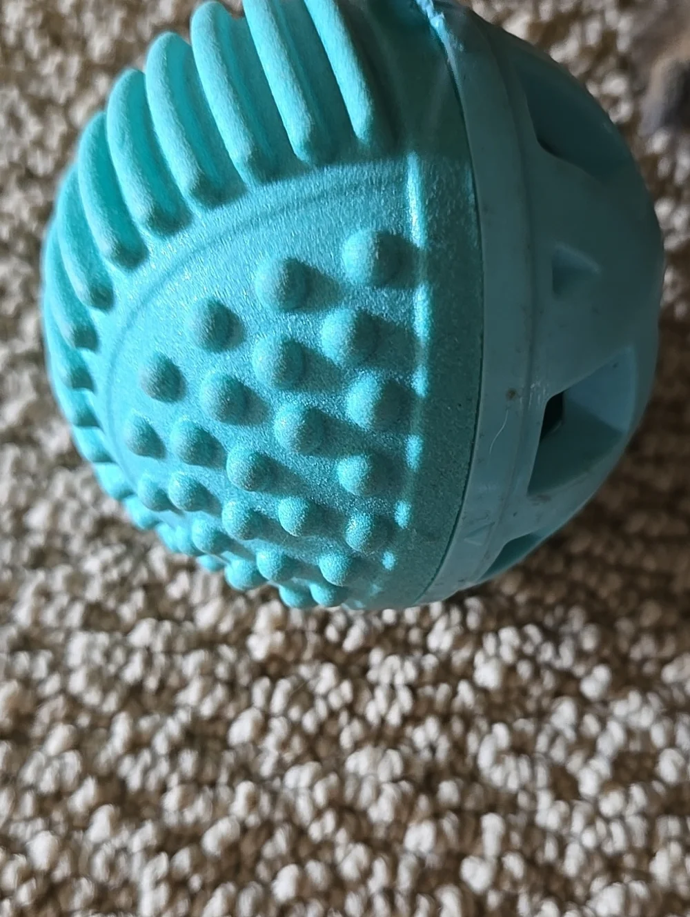 Petco durable teal
